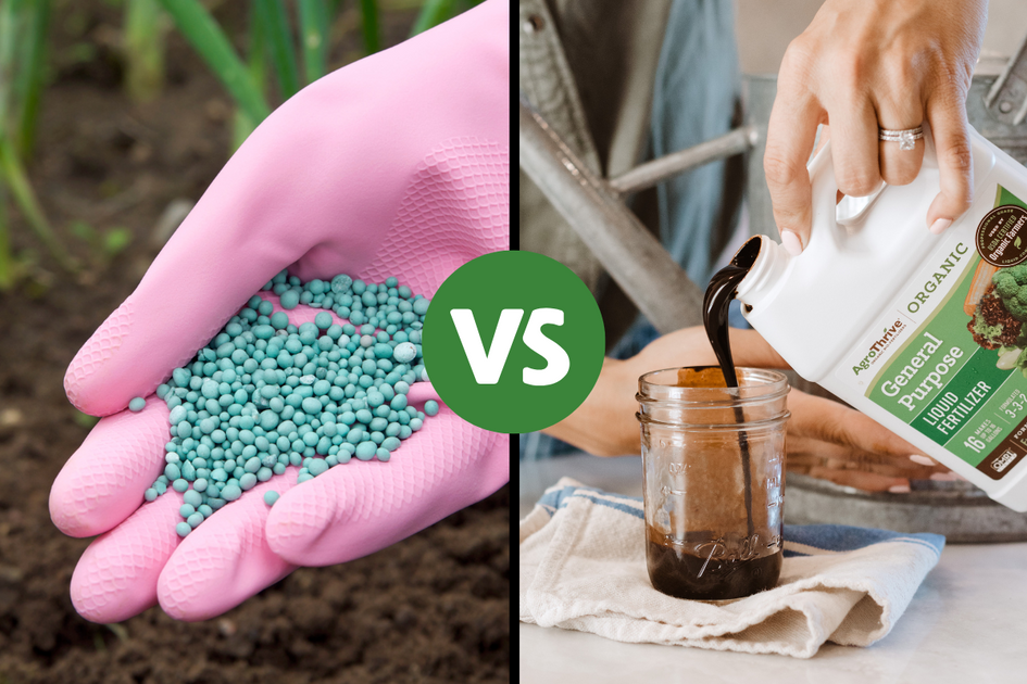Granular vs. Liquid Fertilizers Which is Best for a Backyard Garden