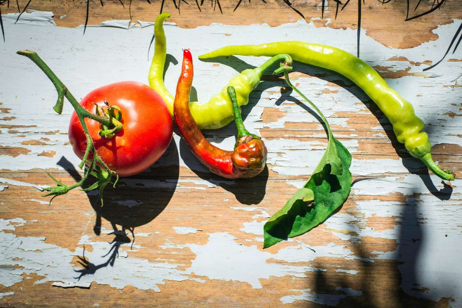 Tips for Growing Your Own Tomato and Pepper Plants AgroThrive